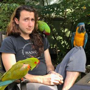 Chilling with Milo, a friend's & his macaws after a free-flight session (Courtesy of @takingwingconsulting (IG))